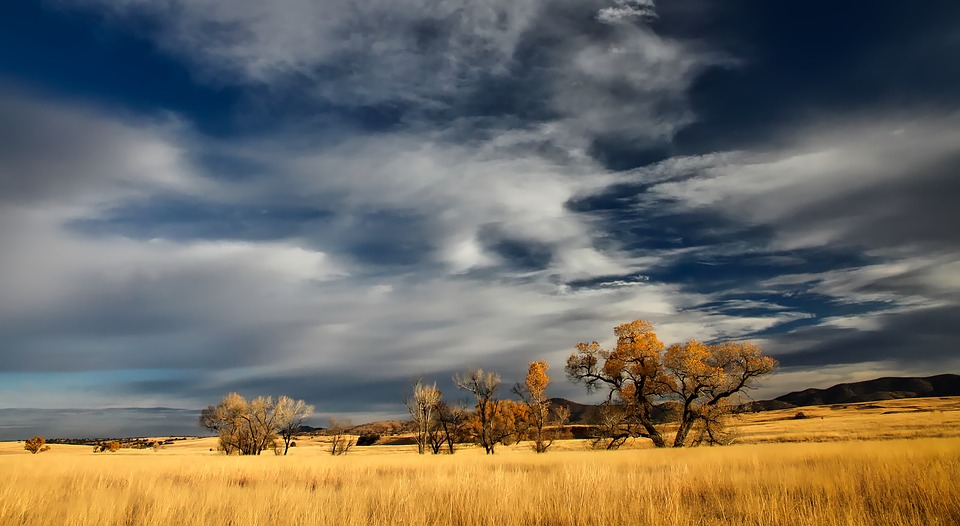 Landschaft